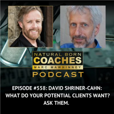 Episode #558: David Shriner-Cahn: What Do Your Potential Clients Want? Ask Them.