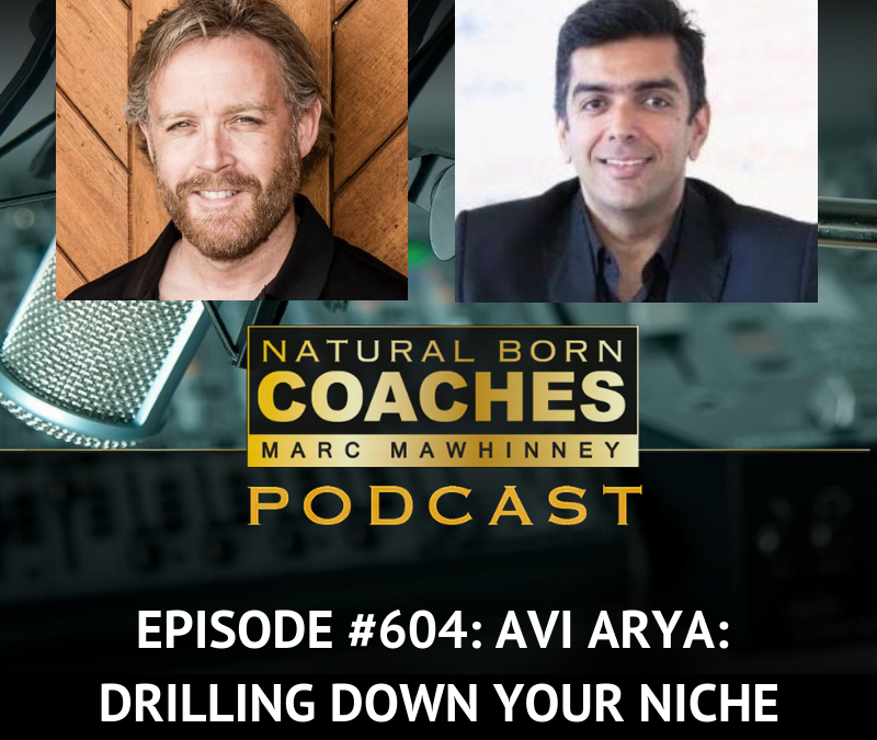 Episode #604: Avi Arya: Drilling Down Your Niche