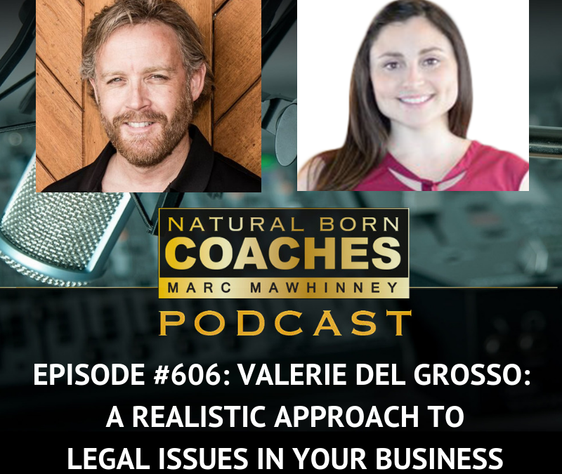 Episode #606: Valerie Del Grosso: A Realistic Approach To Legal Issues In Your Business