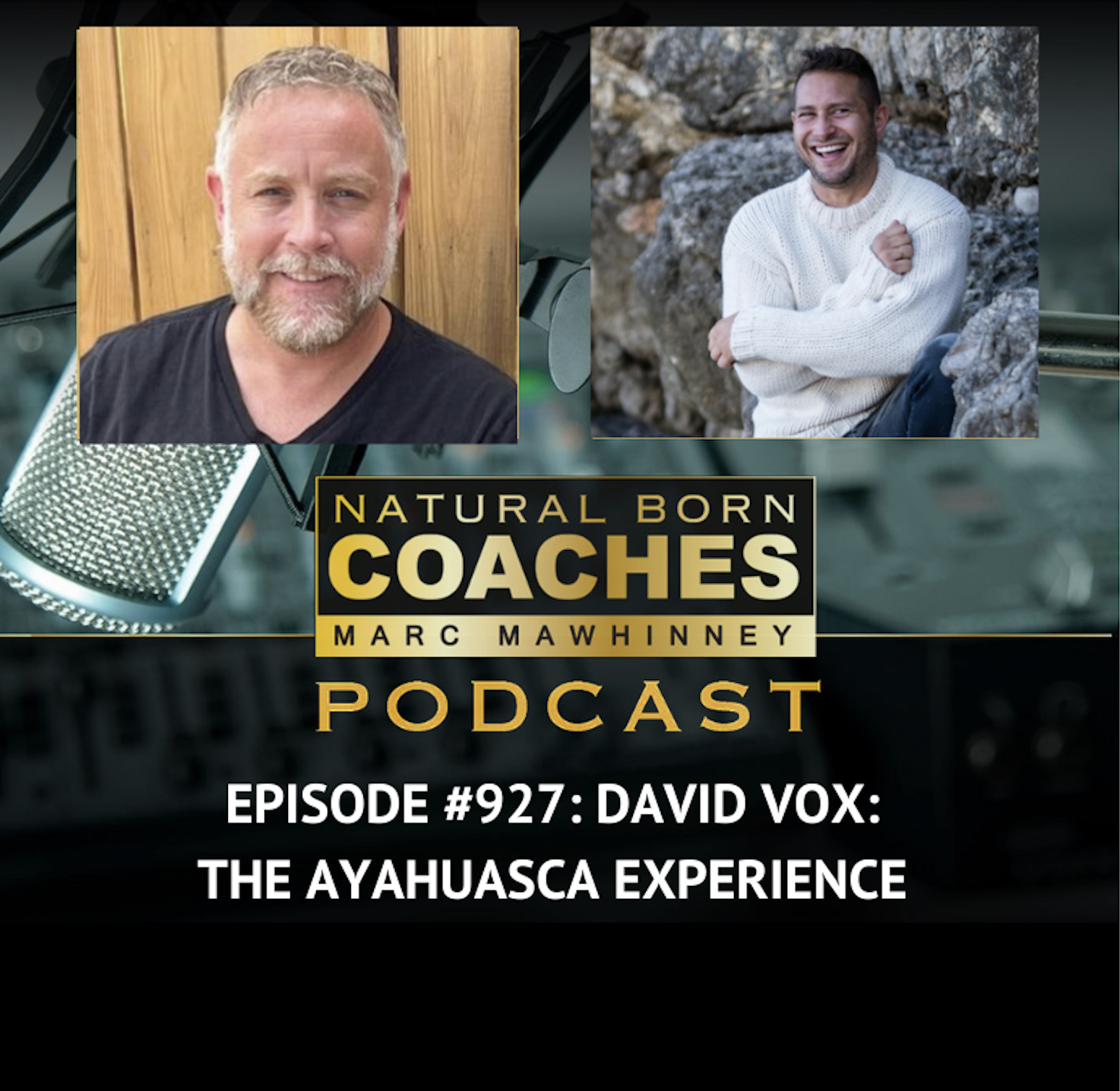Episode #927: David Vox: The Ayahuasca Experience