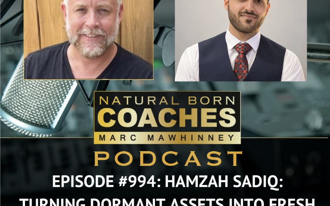 Episode #994: Hamzah Sadiq: Turning Dormant Assets Into Fresh Revenue!